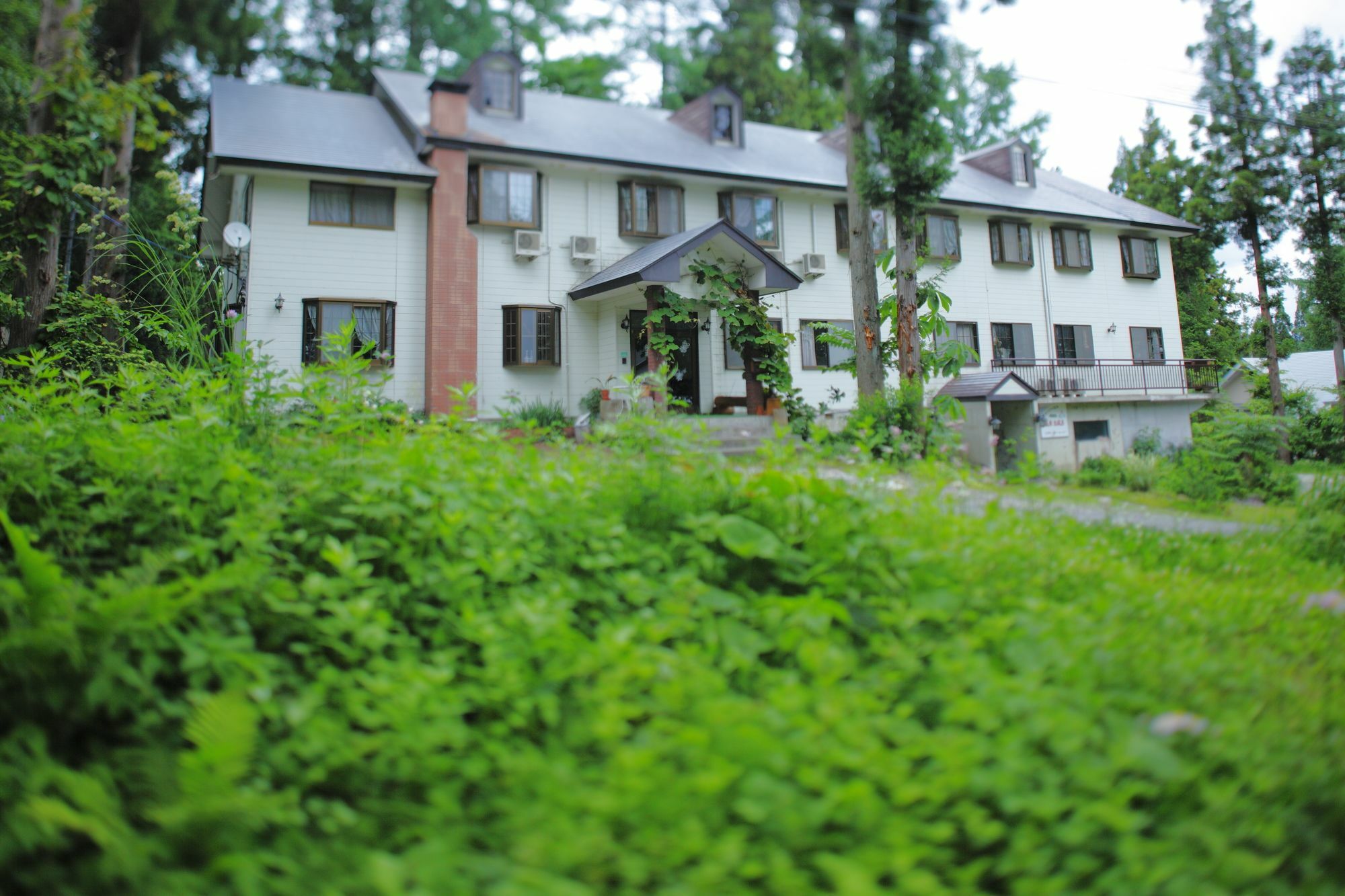 Hakubagoryu Pension&Logcottage Arumu Екстериор снимка